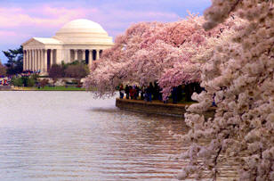 Washington